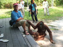 Gregg Granger with an orangutan resting her hand on his leg